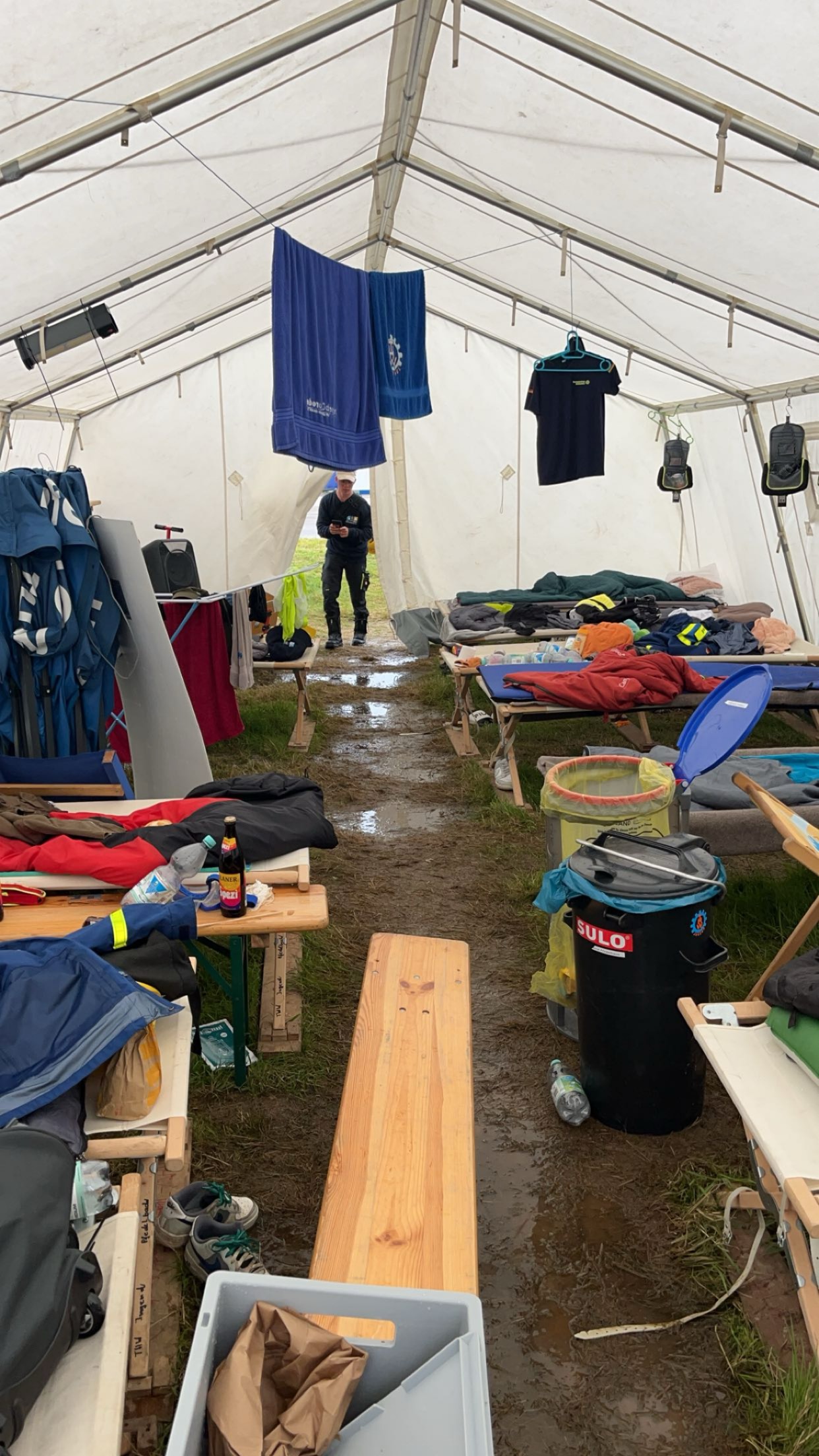 Christbaum sammeln 2025